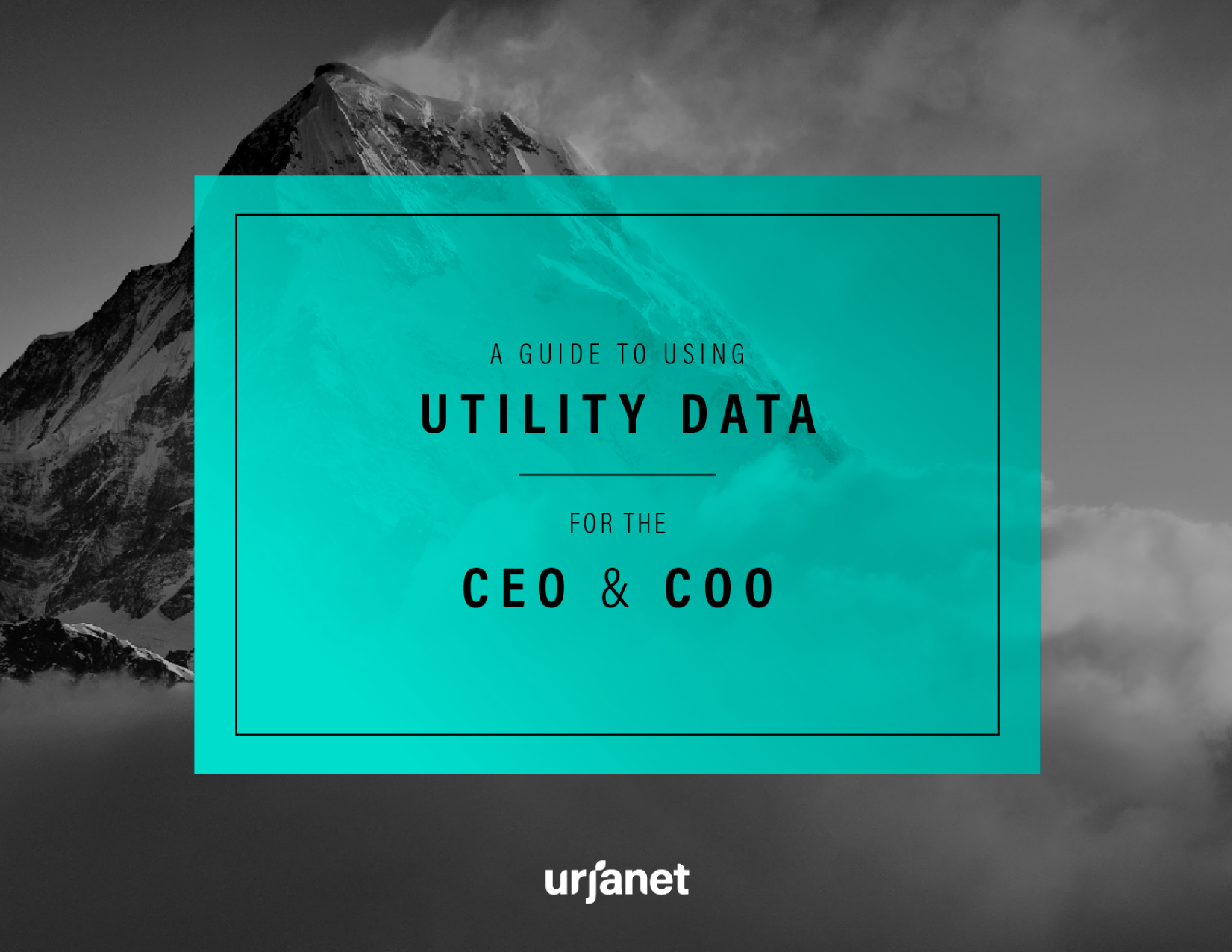 A Guide to Using Utility Data for the CEO & COO